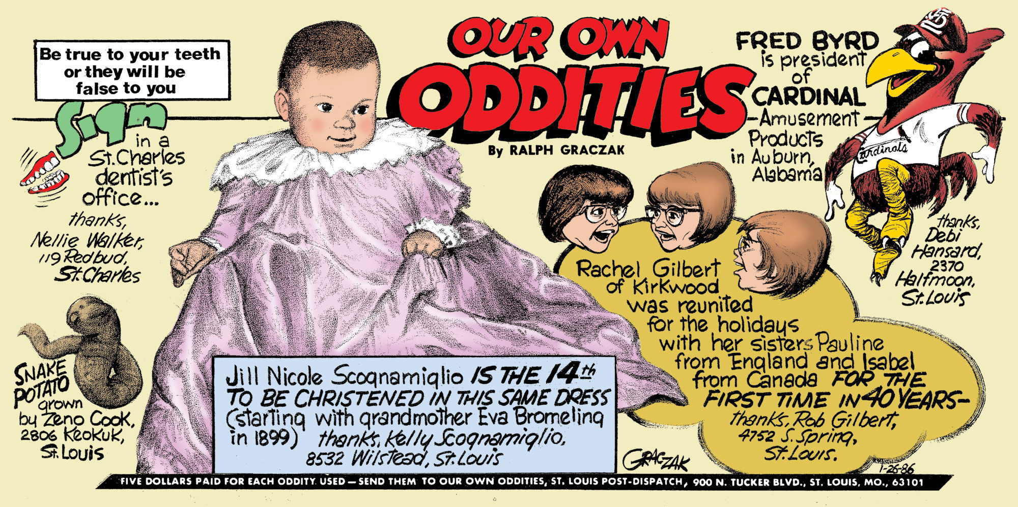Our Own Oddities